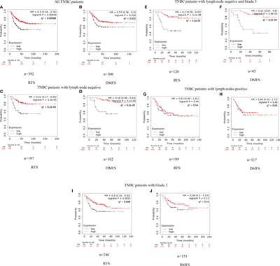 A Novel IGLC2 Gene Linked With Prognosis of Triple-Negative Breast Cancer